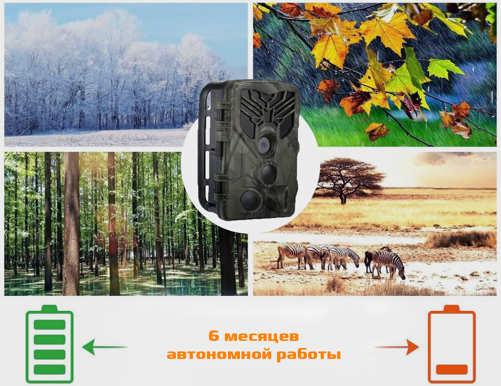 830avtonomnyraboty.jpg
