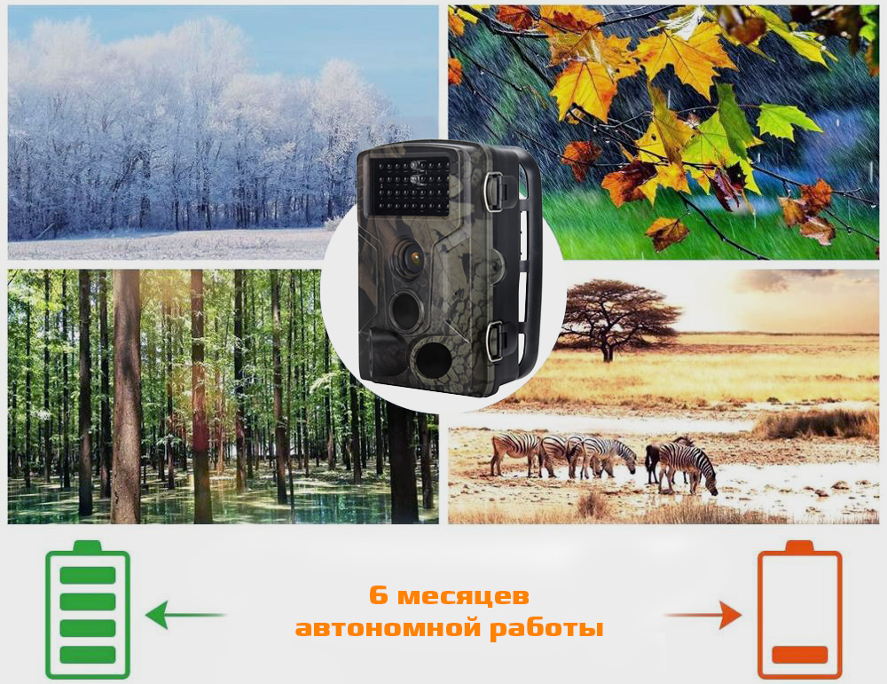 802avtonomnyraboty.jpg