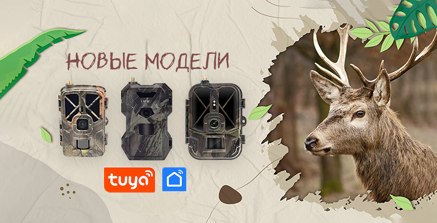 ST_blog_small_180723 (1).png