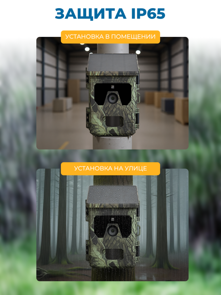 6930878773468-5.png