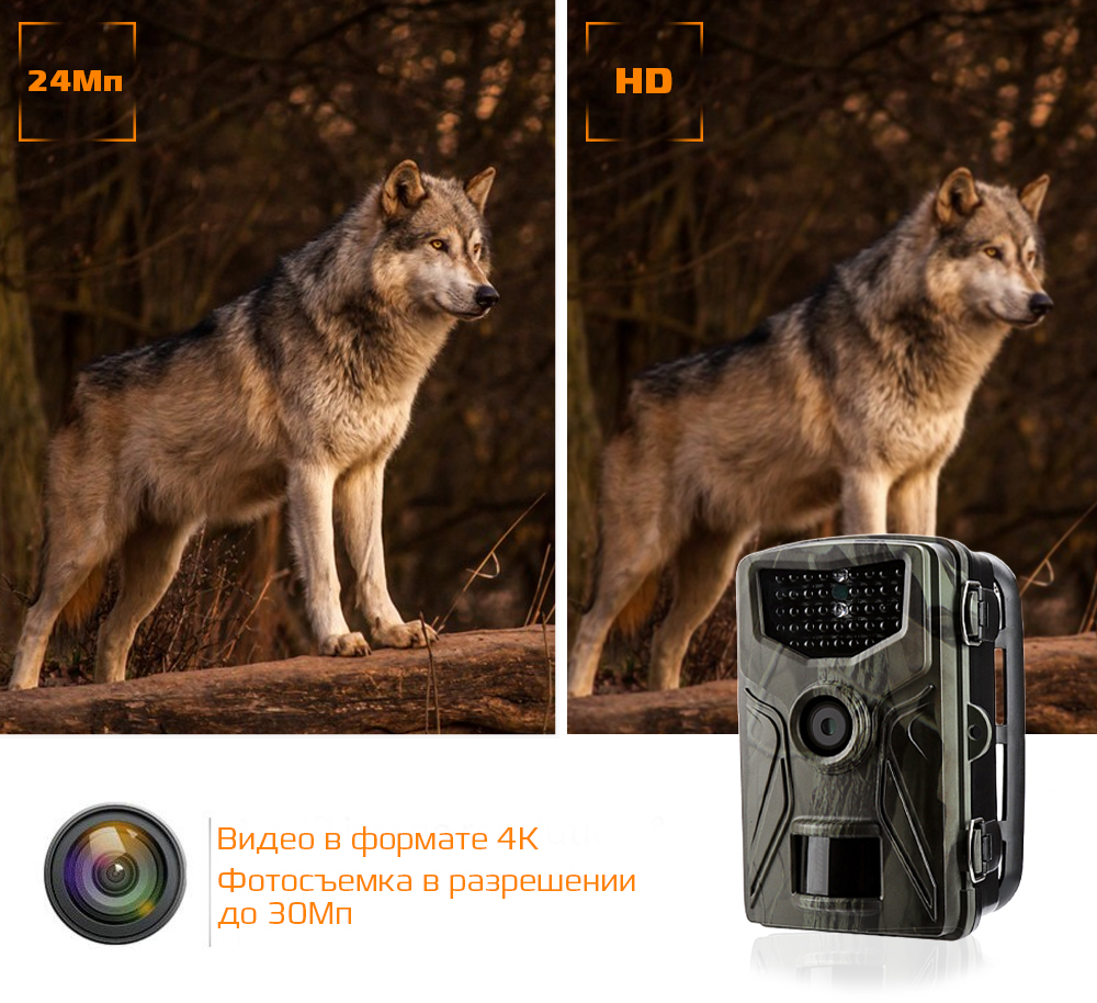 Фотоловушка Suntek HC-804A.jpg