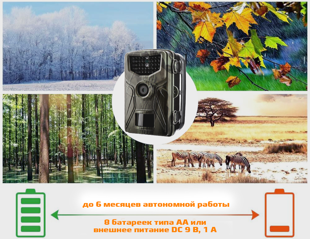 801Аavtonomnyraboty.jpg