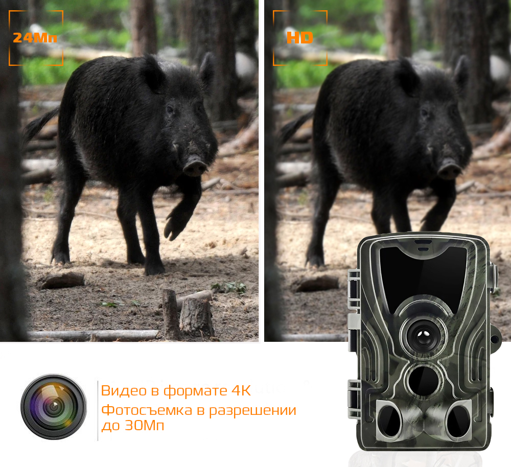 Фотоловушка Suntek HC-801plus.jpg