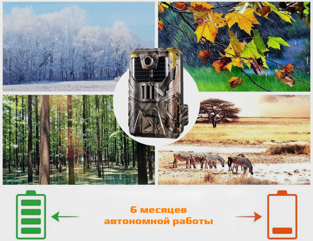 900plusavtonomnyraboty.jpg