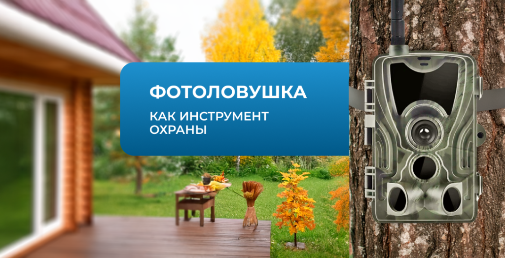 Куда повесить фото-ловушку