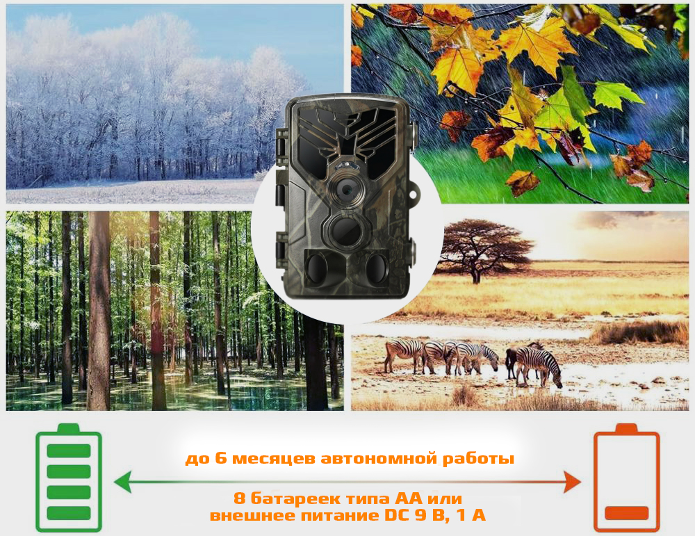 806Аavtonomnyraboty.jpg