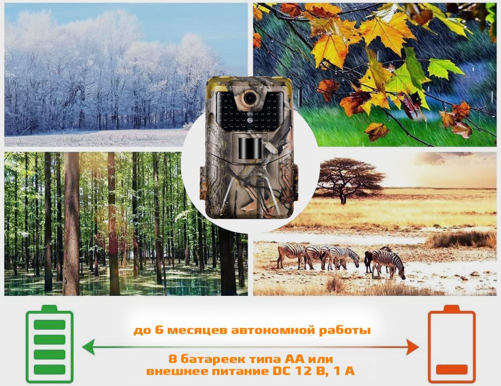 900Аavtonomnyraboty.jpg